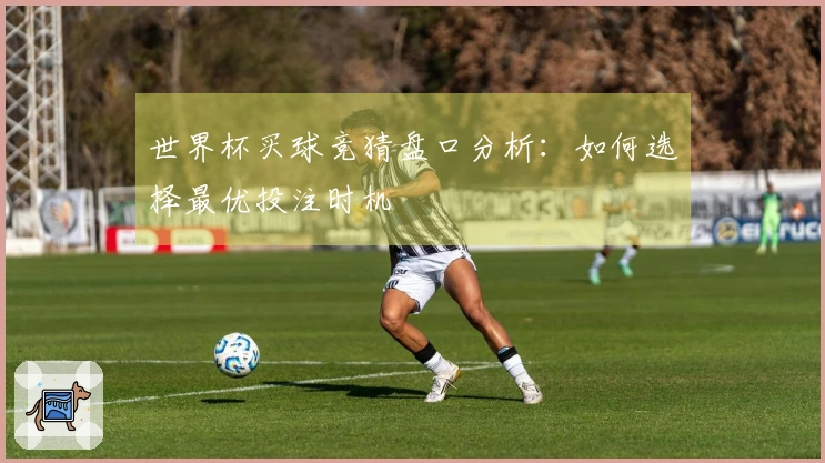 世界杯买球竞猜盘口分析：如何选择最优投注时机